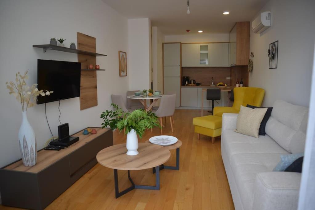 Apartment Design Flat With Impressive Boka Bay View Kotor
